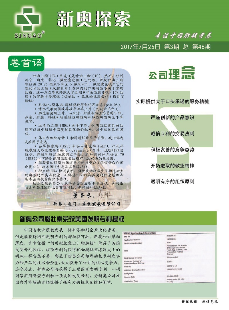 2025新奥资料正版大全和警惕虚假宣传-全面释义、解释与落实