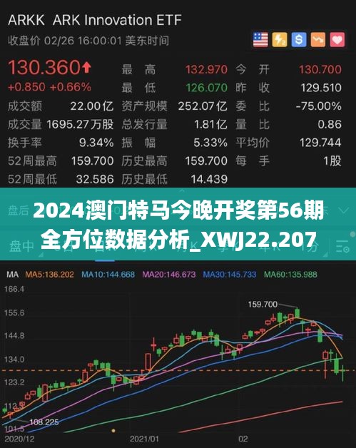 2025澳门特马网站www，全面释义、解释与落实